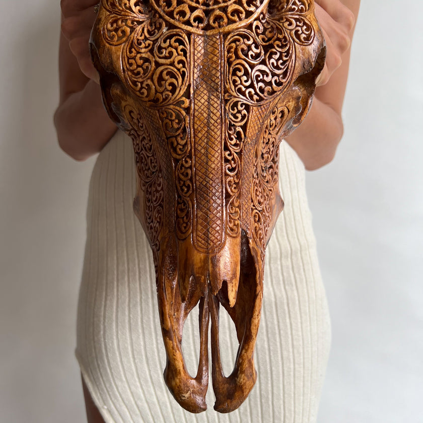 Real Carved Buffalo Skull 20/EX/236