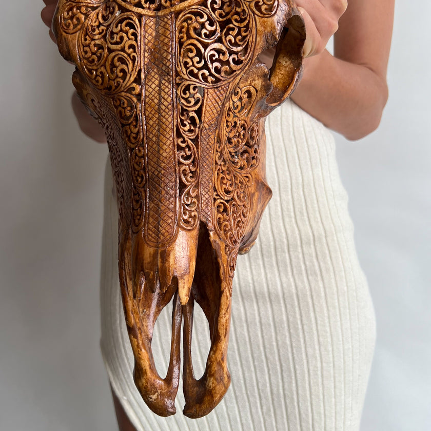 Real Carved Buffalo Skull 20/EX/236