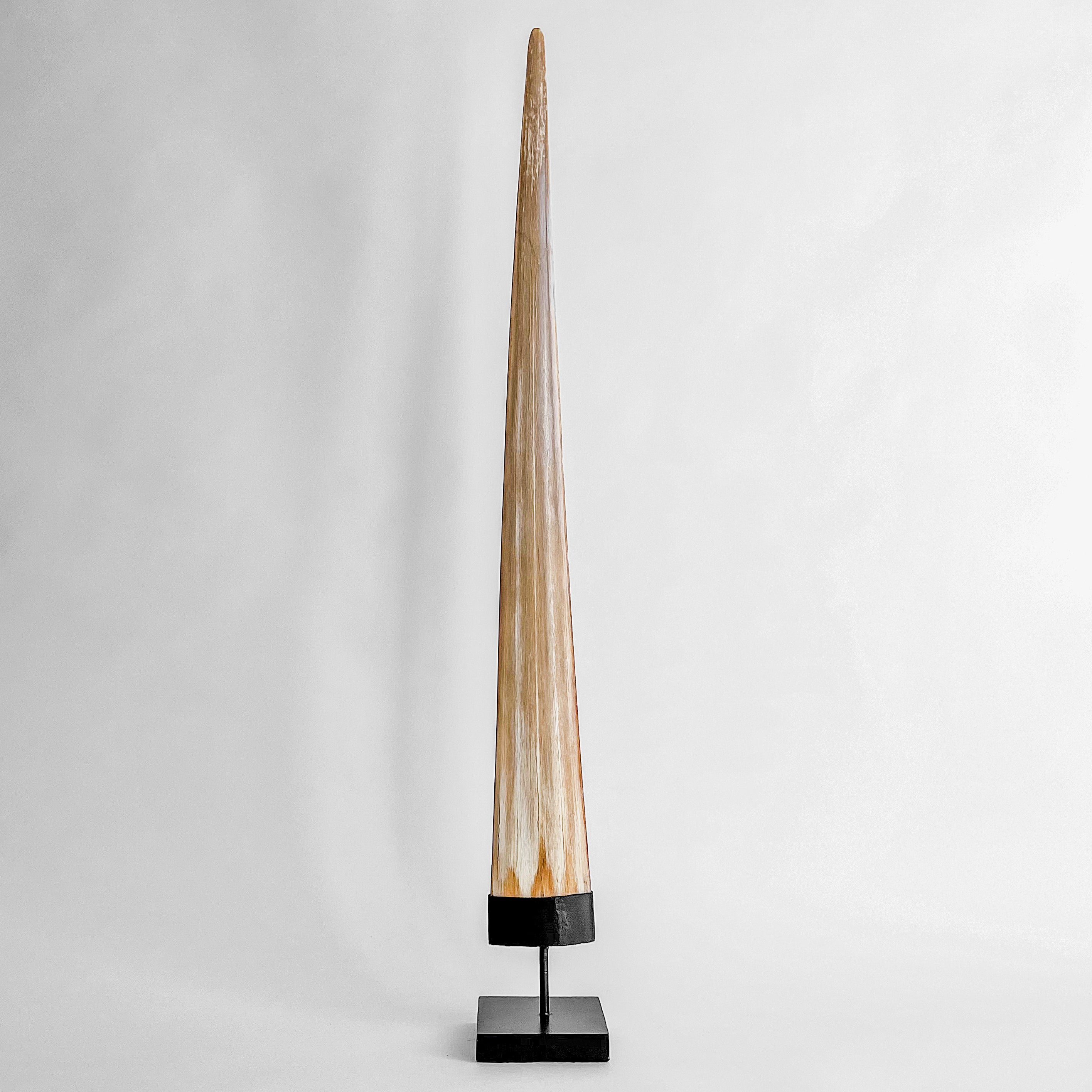 Natural Tusk on stand 20/EX/245