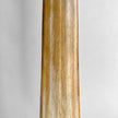 Natural Tusk on stand 20/EX/245