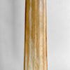 Natural Tusk on stand 20/EX/245
