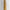 Natural Tusk on stand 20/EX/245