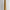 Natural Tusk on stand 20/EX/245