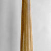Natural Tusk on stand 20/EX/245