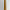Natural Tusk on stand 20/EX/245