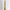Natural Tusk on stand 20/EX/245