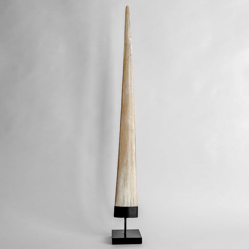Natural Tusk on stand 20/EX/245