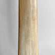 Natural Tusk on stand 20/EX/245