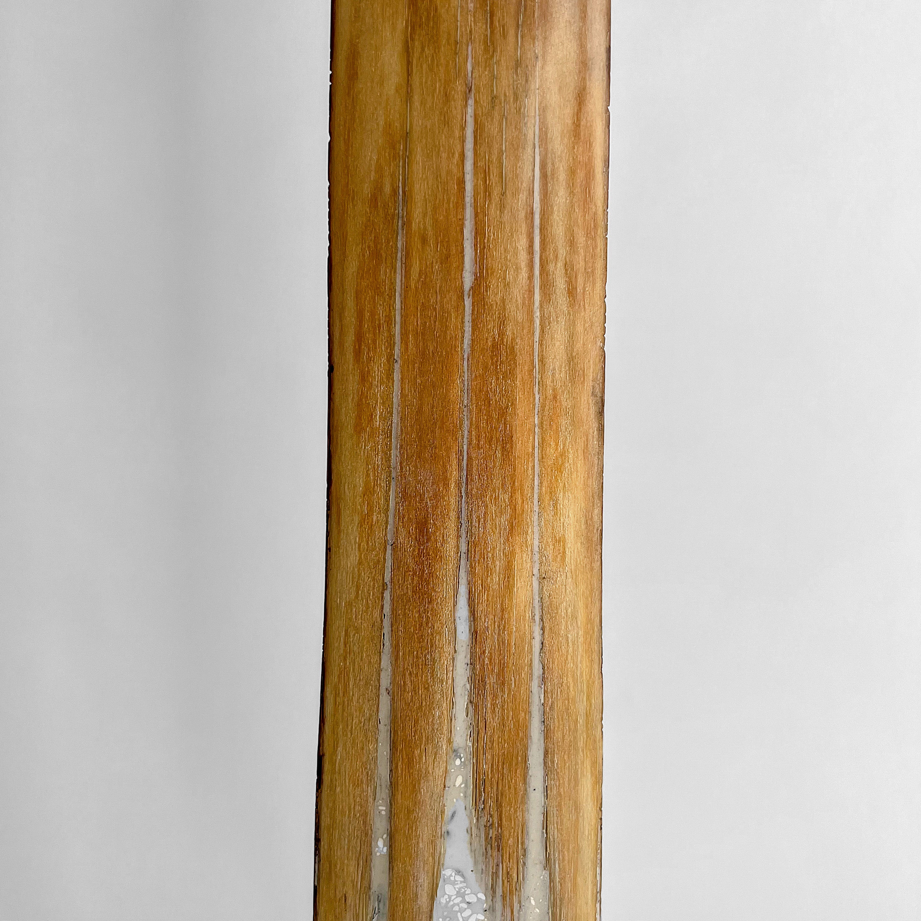 Carved Tusks 20/EX/287