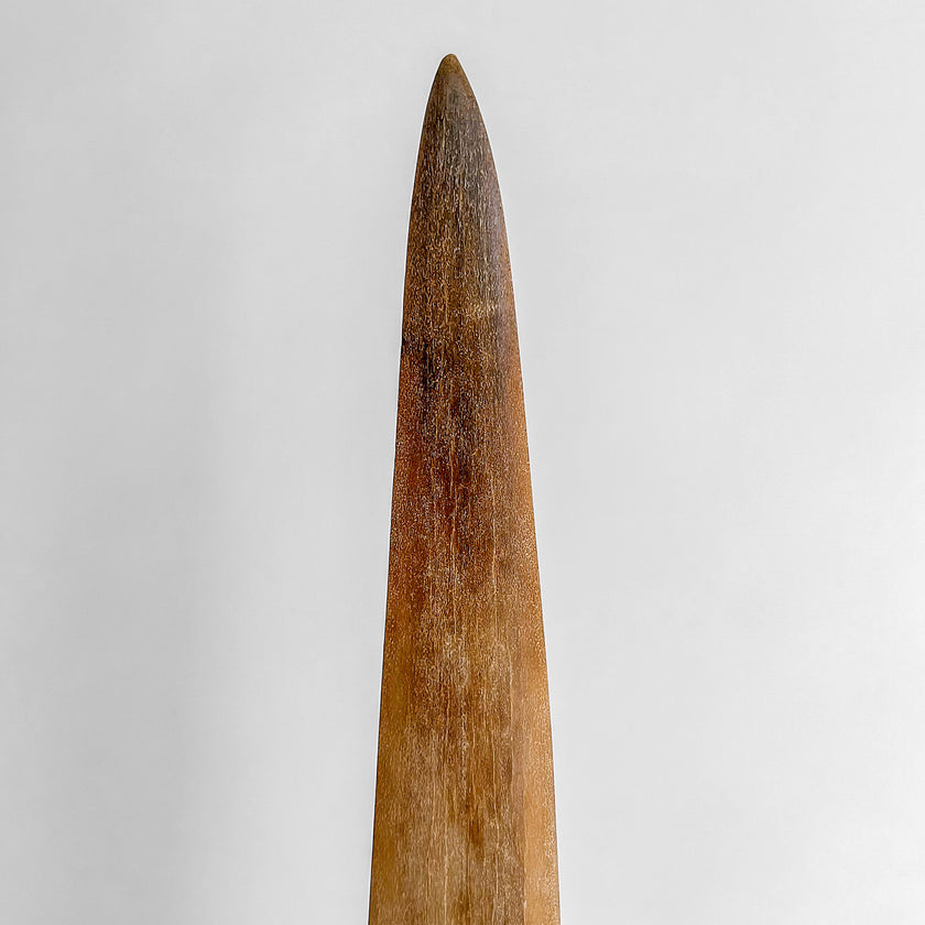 Carved Tusks 20/EX/287