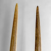 A pair of Tusks on Stand  20/EX/250