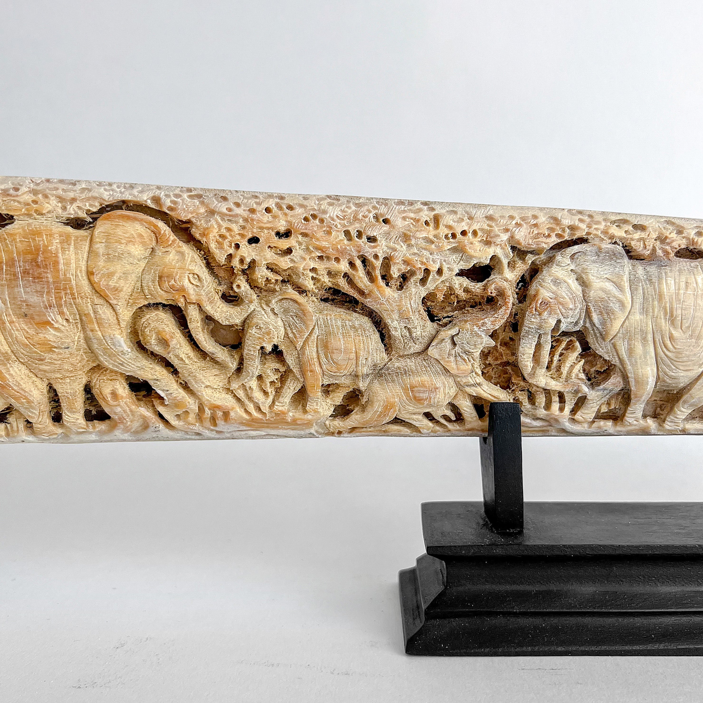 Carved Tusks 20/EX/619
