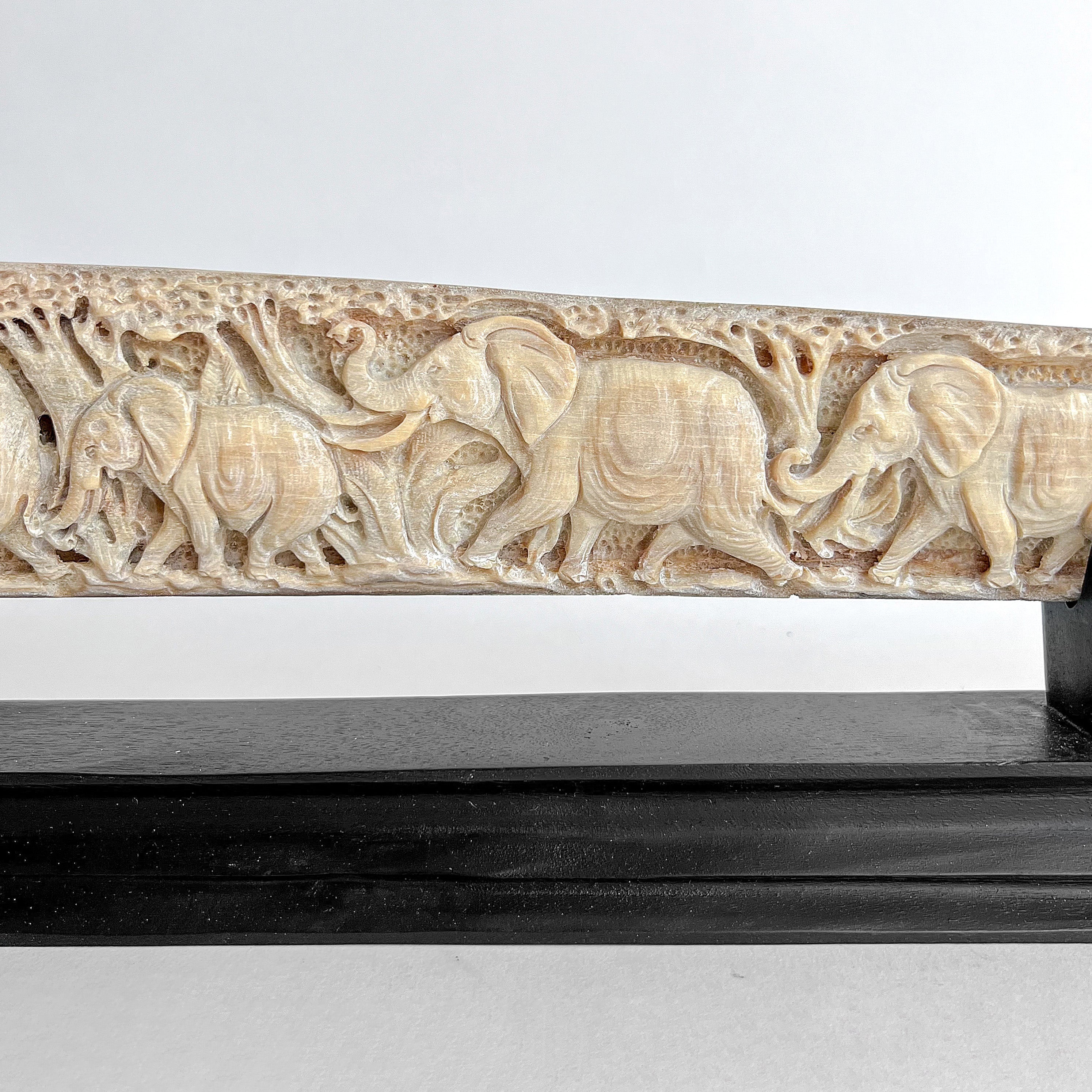 Carved Tusks 20/EX/619