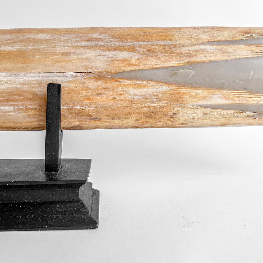 Carved Tusks 20/EX/619