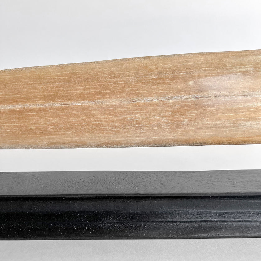 Carved Tusks 20/EX/619