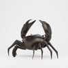 Crab Brown Bronze Medium