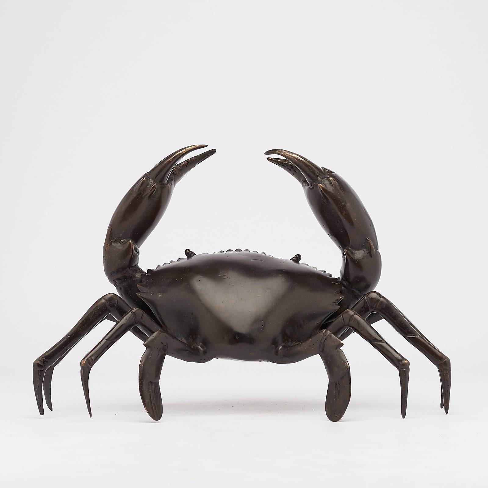 Crab Brown Bronze Medium