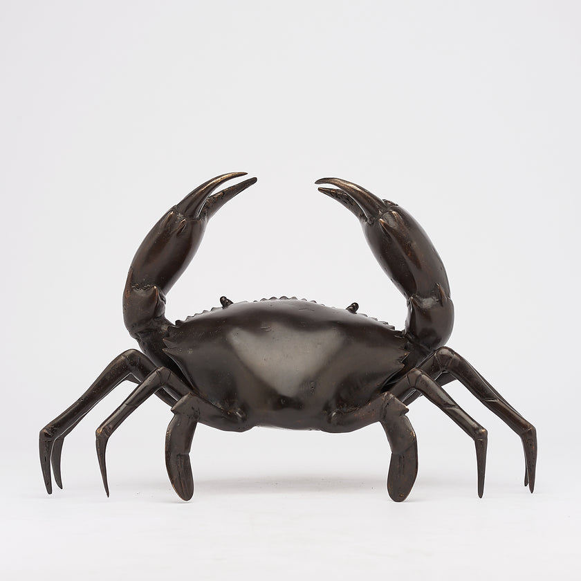 Crab Brown Bronze Medium
