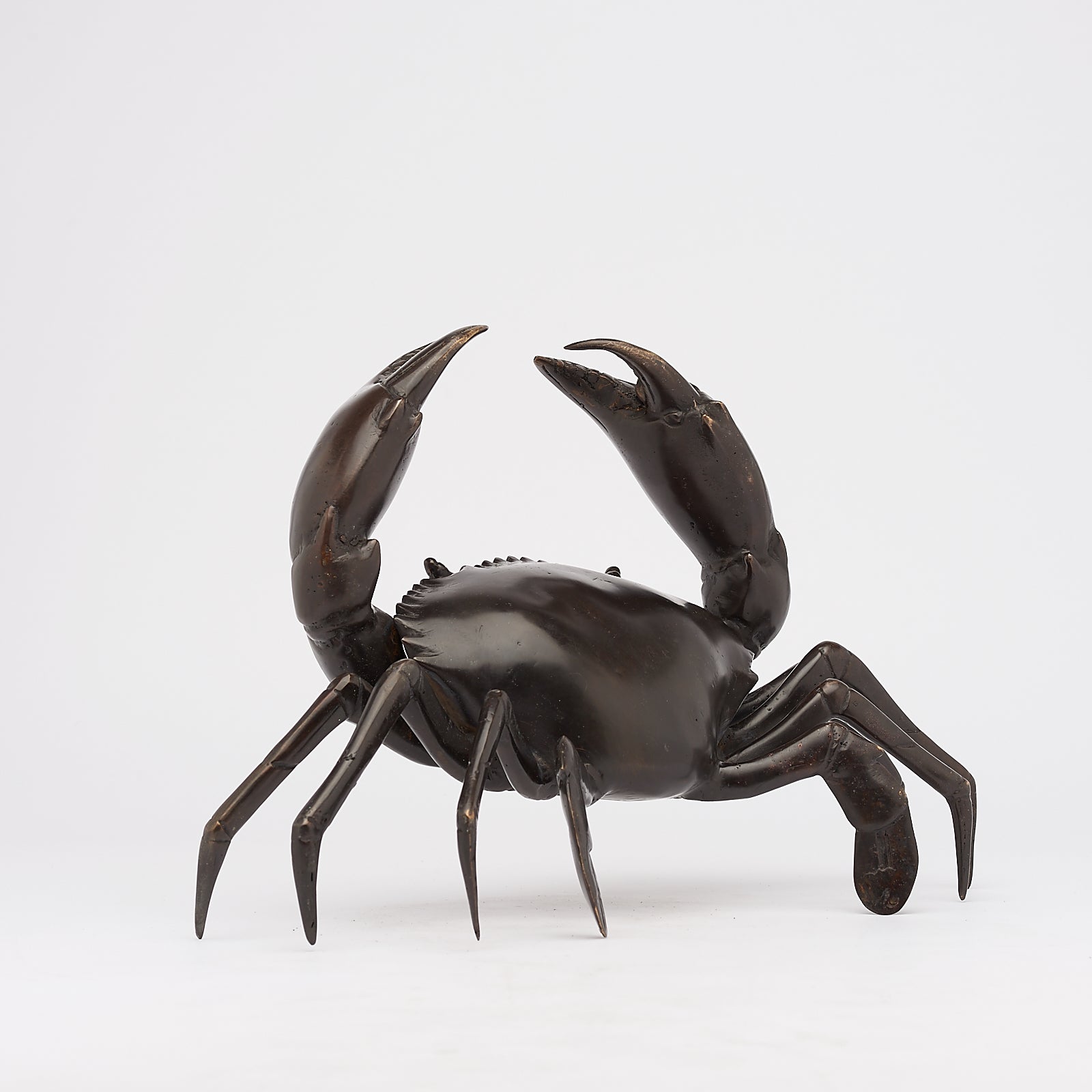 Crab Brown Bronze Medium