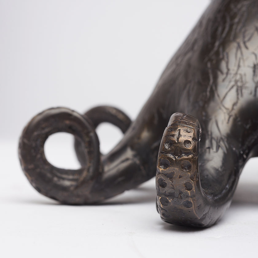 Octopus Brown Brons Medium