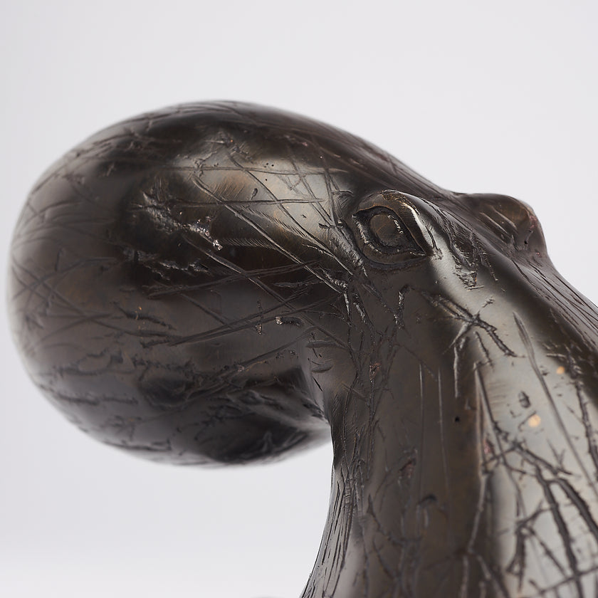 Octopus Brown Brons Medium