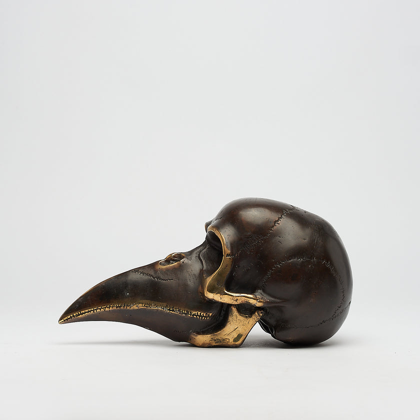 Mythical Dayak Bird Head with Polished Accents Large