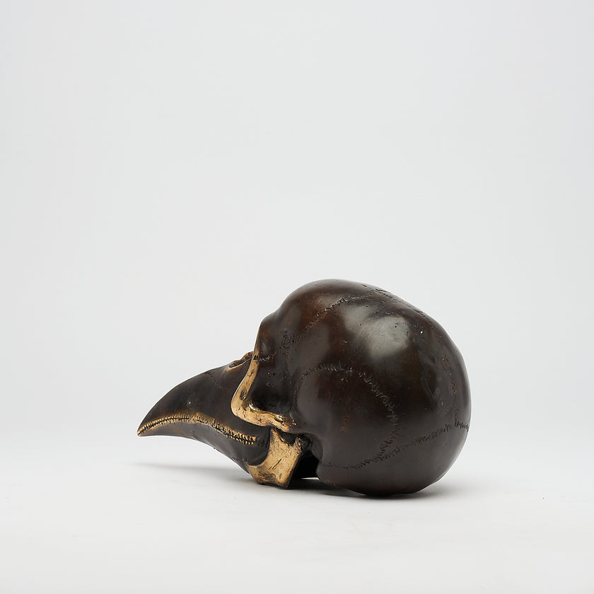 Mythical Dayak Bird Head with Polished Accents Large