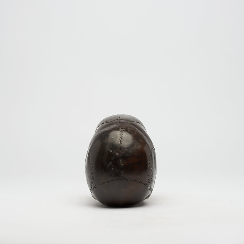 Mythical Dayak Bird Head with Polished Accents Large