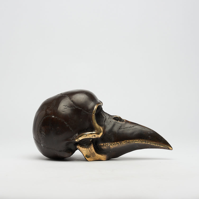 Mythical Dayak Bird Head with Polished Accents Large