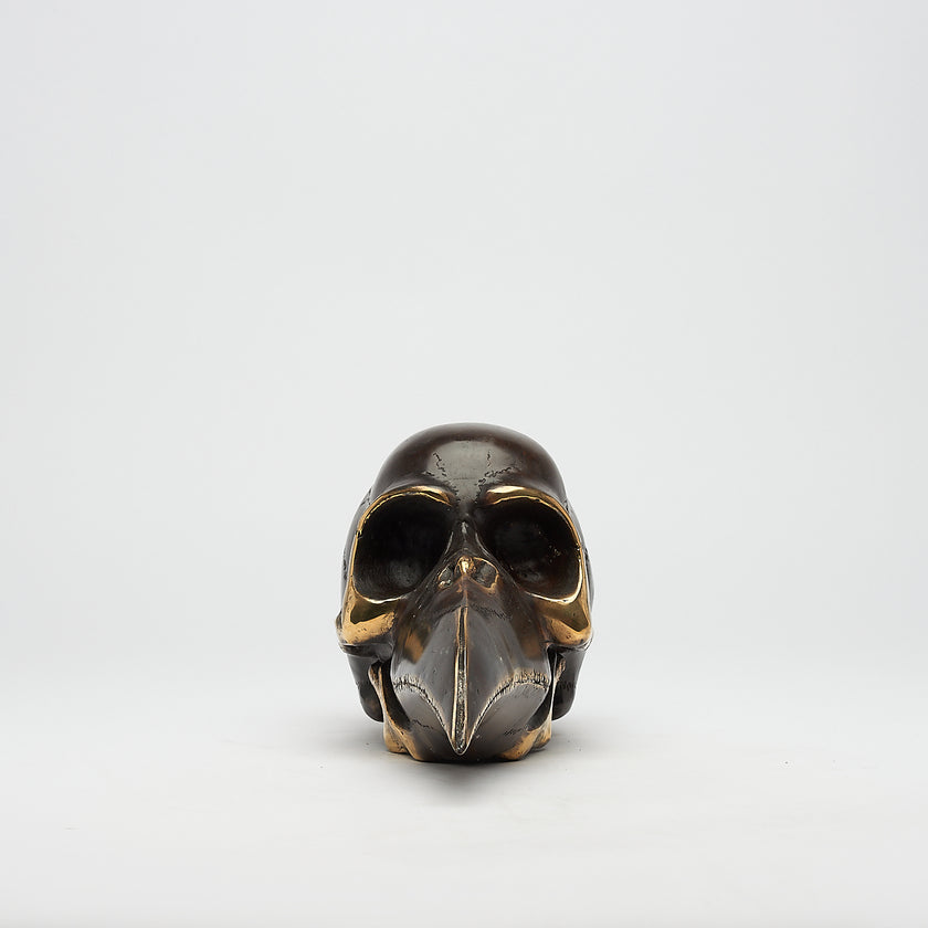 Mythical Dayak Bird Head with Polished Accents Large