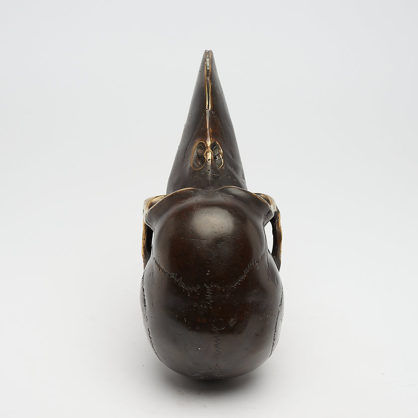 Mythical Dayak Bird Head with Polished Accents Large