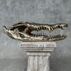 Crocodile Skull without Base Polished Bronze Large