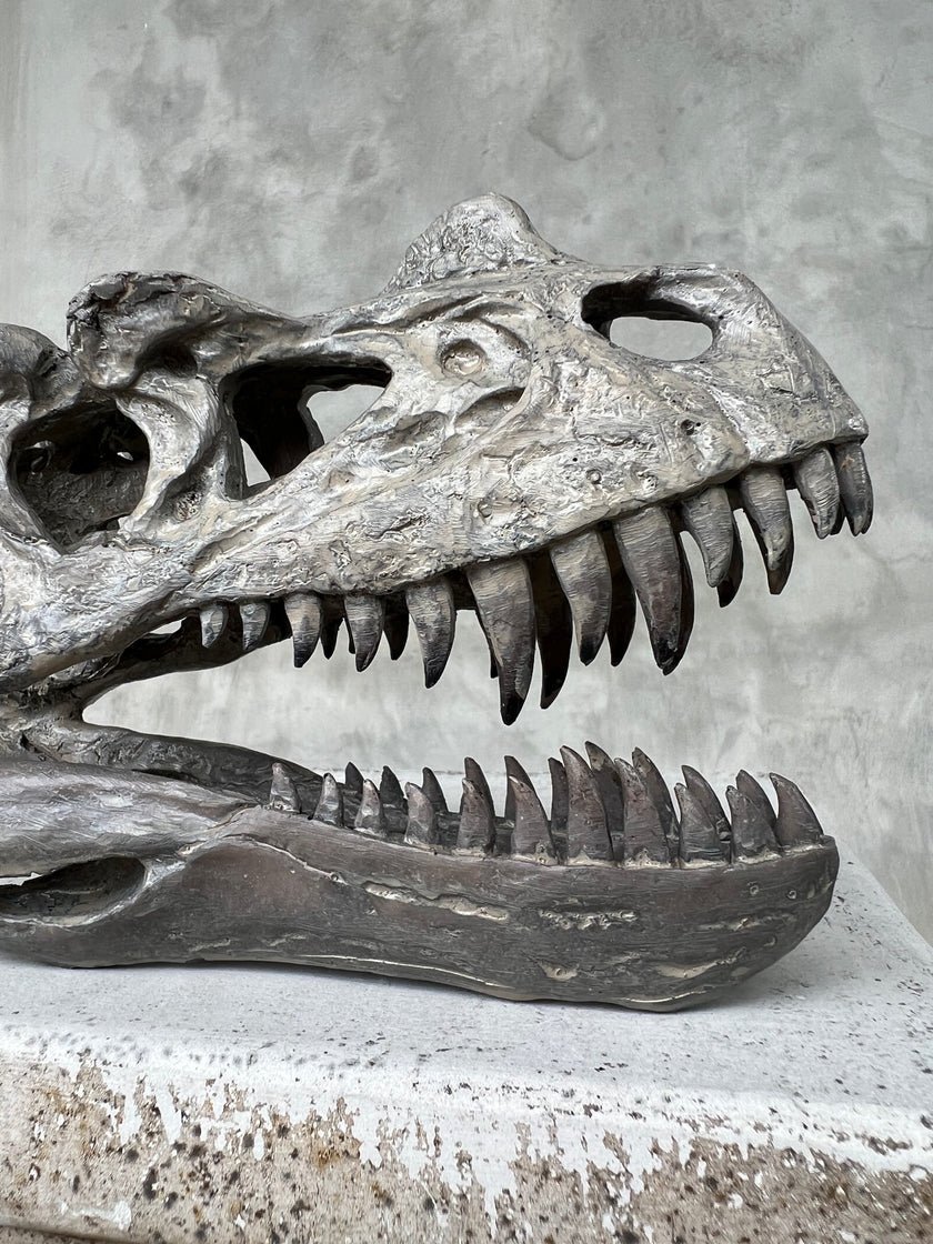 Ceratosaurus Grey - RS009